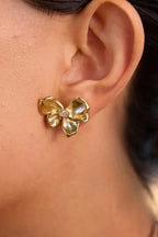 Aretes Sofia