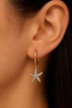 Aretes Estrellita
